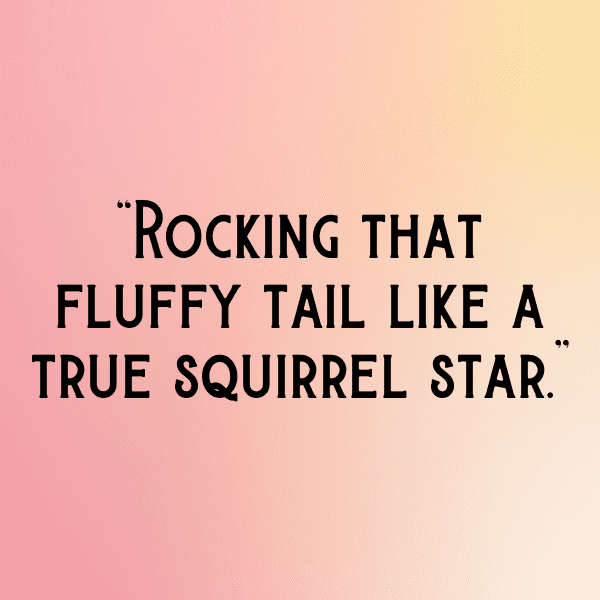 Squirrel Captions Image For Instagram-vdJSKl