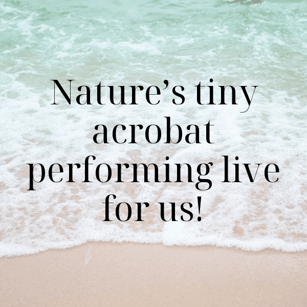 Squirrel Captions Photo For Instagram-A11mkD