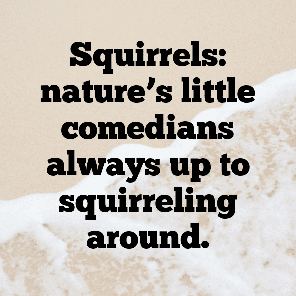 Squirrel Captions Photo For Instagram-MhLF1z