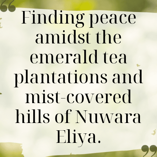 Sri Lanka Captions Image For Instagram-MqezLK