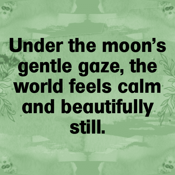 Star Gazing Captions Image for Instagram-aWZKxa