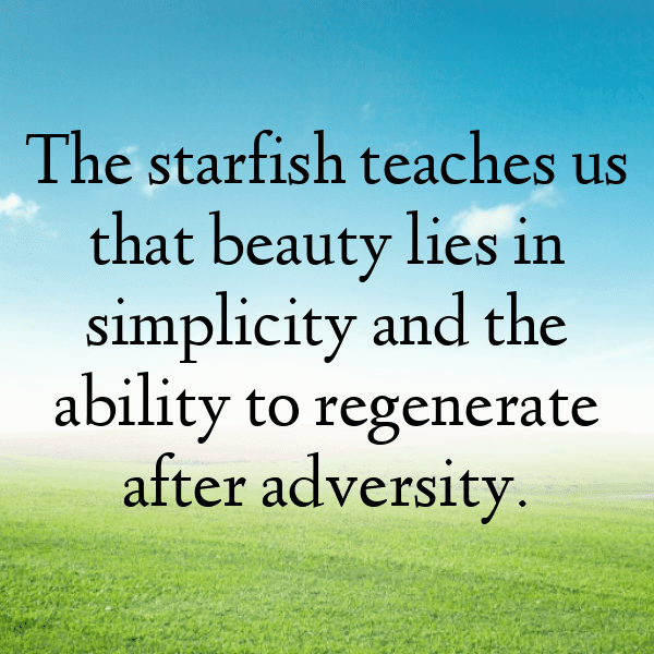 Starfish Captions Image For Instagram-Jq9abs