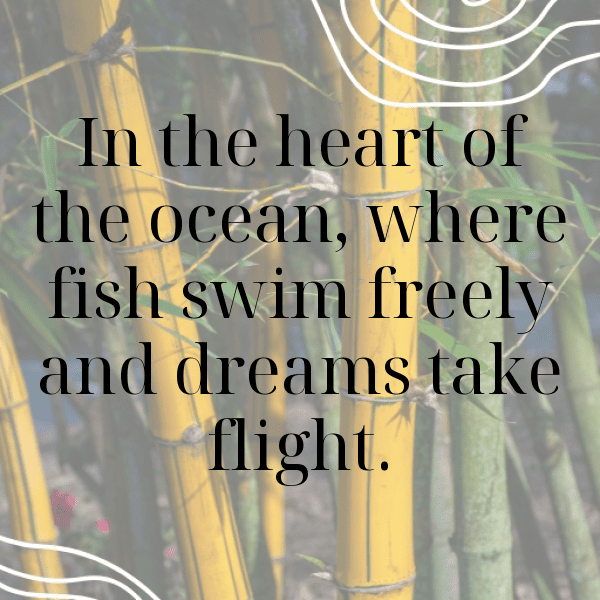 Starfish Captions Image For Instagram-kYg4cC