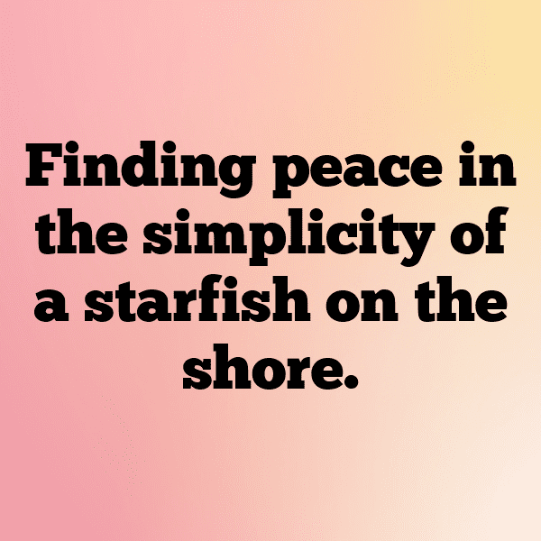 Starfish Captions Image For Instagram-nyqefV