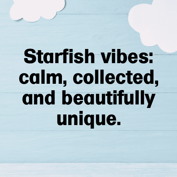 Starfish Captions Image For Instagram-SsiAn8