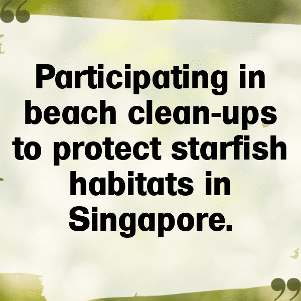 Starfish Captions Photo For Instagram-0bB6gv