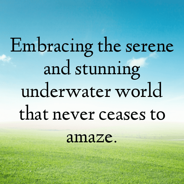 Starfish Captions Photo For Instagram-fwkZWc