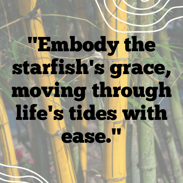 Starfish Captions Photo For Instagram-Wjmg2Q