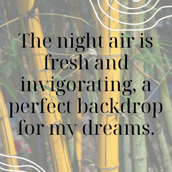 Starry Night Captions Image for Instagram-sy9Fkt