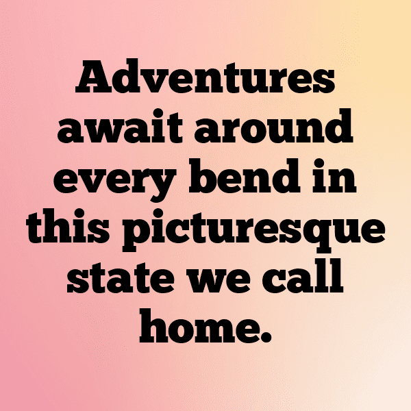 Statice Captions Image For Instagram-0nAA2F