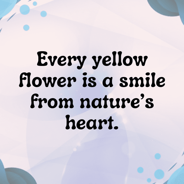 Statice Captions Image For Instagram-6nCOMq