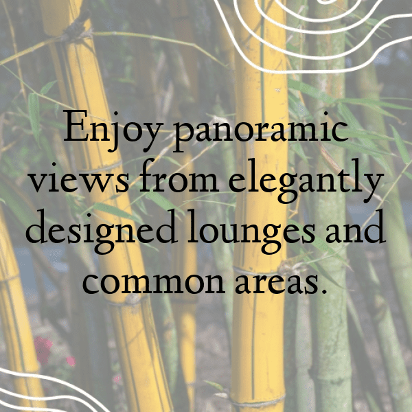 Statice Captions Image For Instagram-nAbSCw