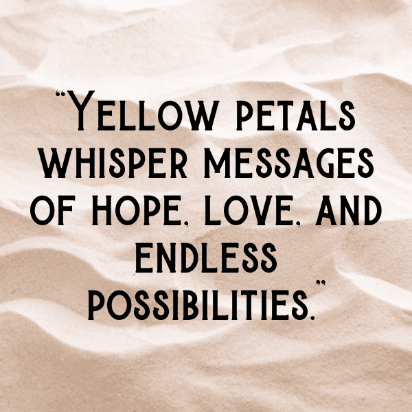 Statice Captions Photo For Instagram-5rbUA1