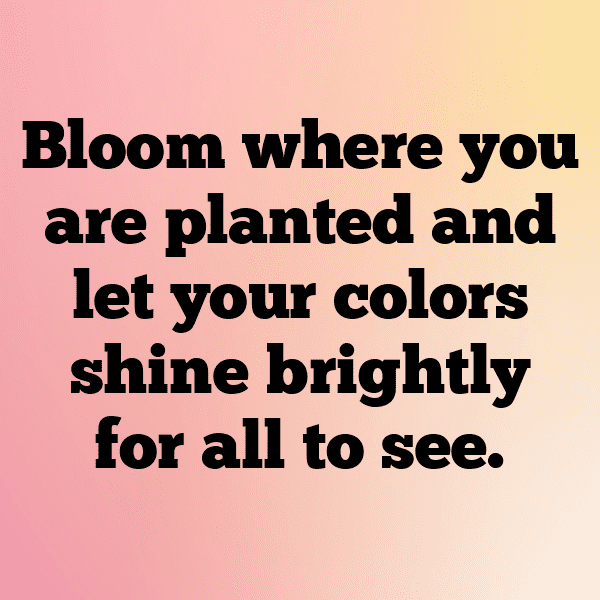 Statice Captions Photo For Instagram-fo9AAQ