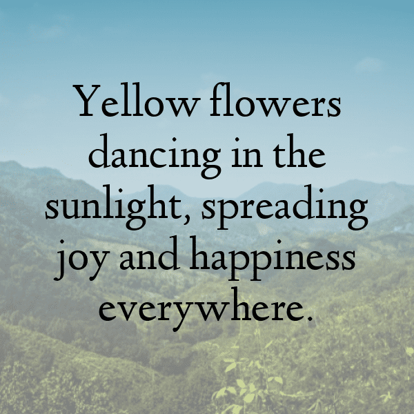 Statice Captions Photo For Instagram-h1V4lf