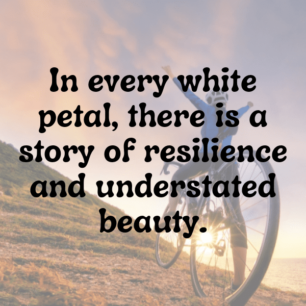 Statice Captions Photo For Instagram-VY4kyO