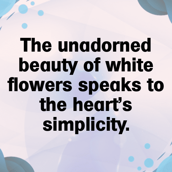 Statice Captions Photo For Instagram-YrV5R5