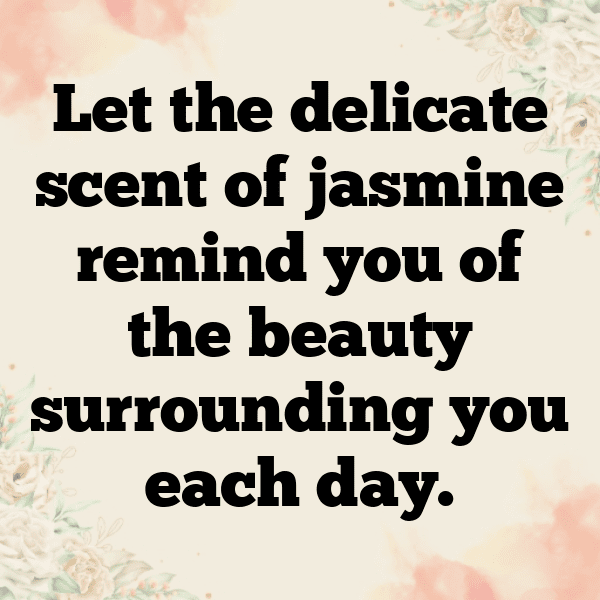 Stephanotis Captions Image For Instagram-wi3GV7