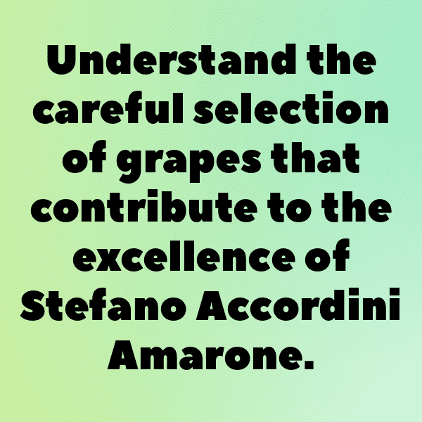 Stephanotis Captions Photo For Instagram-vLCgLu