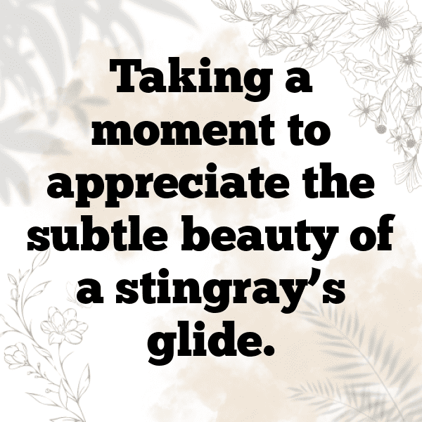 Stingray Captions Image For Instagram-VchAyI