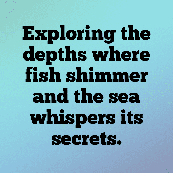 Stingray Captions Photo For Instagram-hPt71A