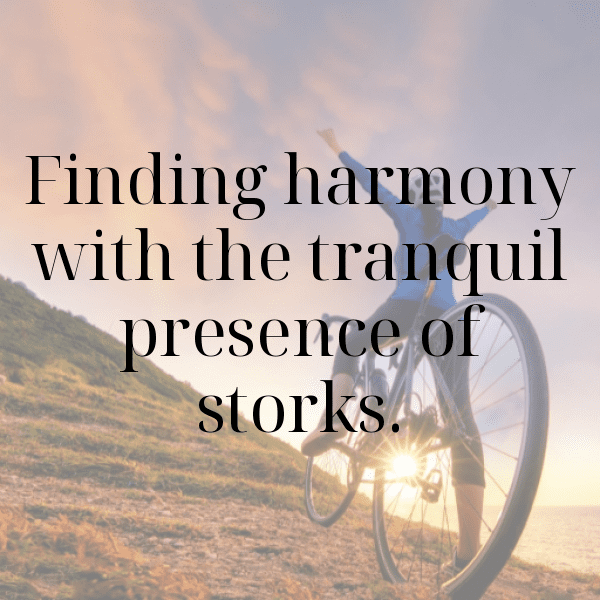 Stork Captions Image For Instagram-1ply5o