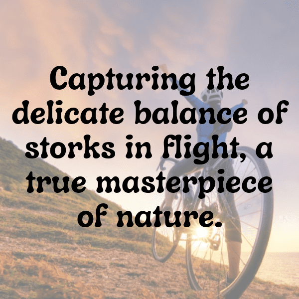 Stork Captions Image For Instagram-gBpJ01