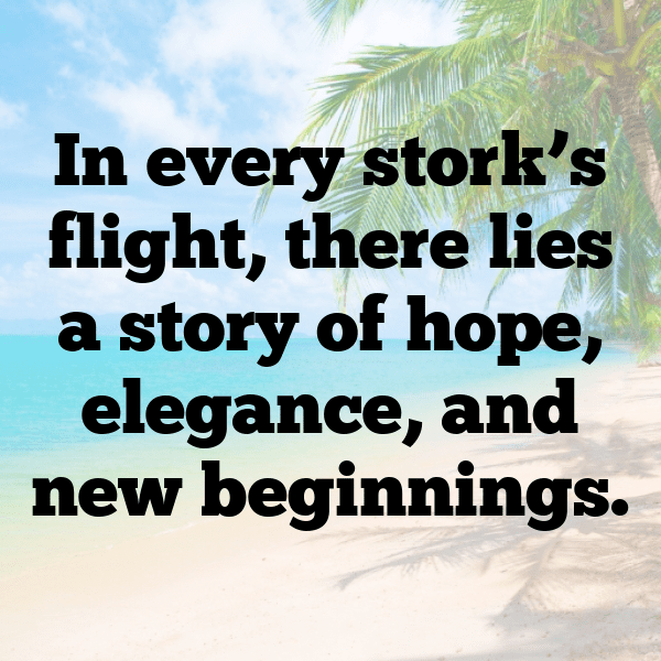 Stork Captions Image For Instagram-MfCDVp