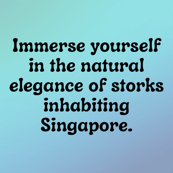 Stork Captions Image For Instagram-YsntpF