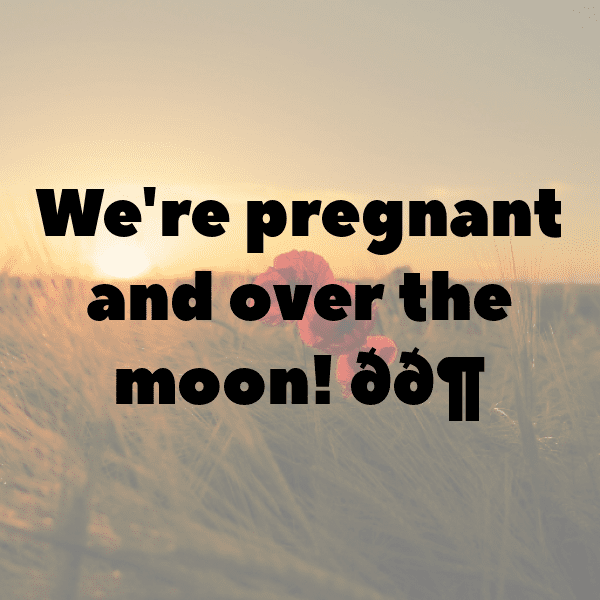 Stork Captions Photo For Instagram-bkOiJn