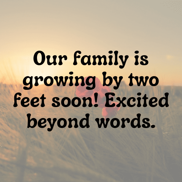 Stork Captions Photo For Instagram-J6H2sE