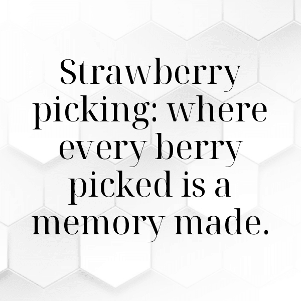 Strawberry Captions Image For Instagram-P6DCHF