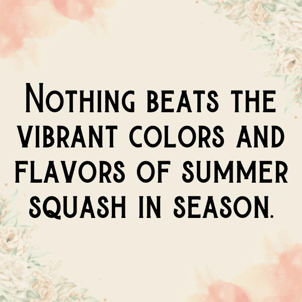Summer Squash Captions Photo For Instagram-4V8qxP