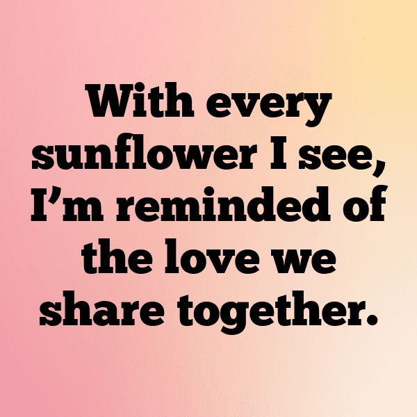 Sunflower Captions Image For Instagram-75xoKS