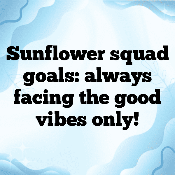 Sunflower Captions Image For Instagram-8Uv4Ya