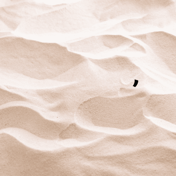 Sunset Captions Image for Instagram-lXWMvj