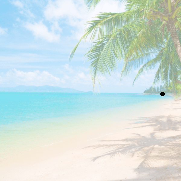 Sunset Captions Photo for Instagram-jCIEZ9