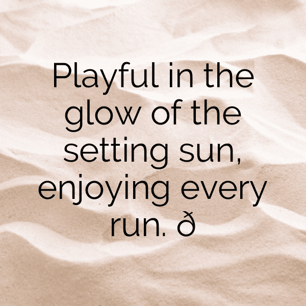 Sunset Captions Photo for Instagram-vgRAS2