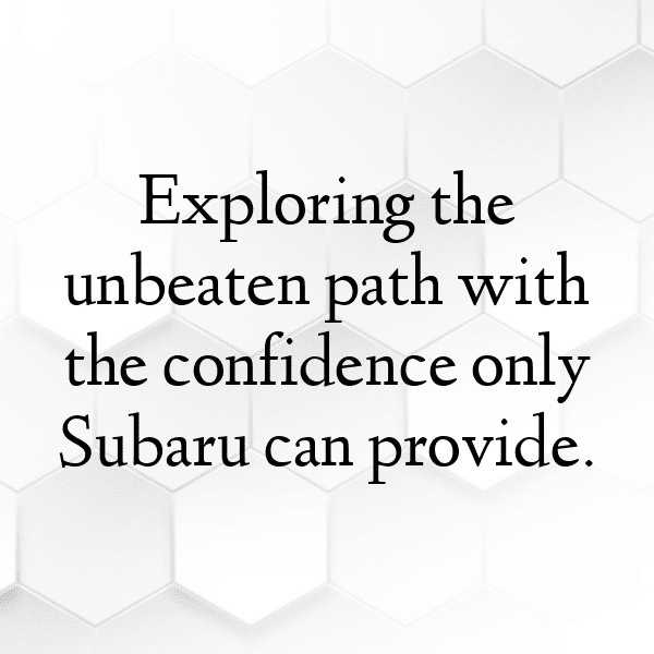 Suzuki Boulevard Captions Photo for Instagram-gubtOH