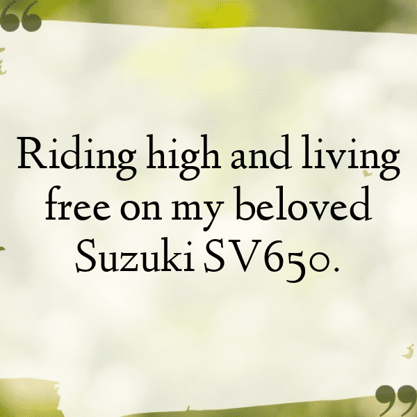 Suzuki SV650 Captions Image for Instagram-l1gnEM
