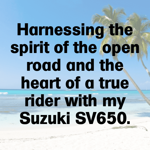 Suzuki SV650 Captions Photo for Instagram-XcB2ST