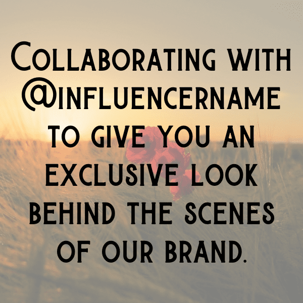 Suzuki V-Strom 650 Captions Image for Instagram-N3VuaW