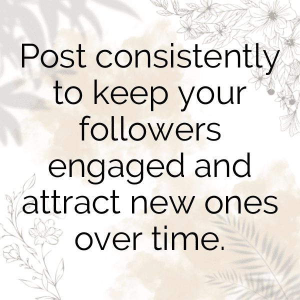 Suzuki V-Strom 650 Captions Photo for Instagram-b9MiOq