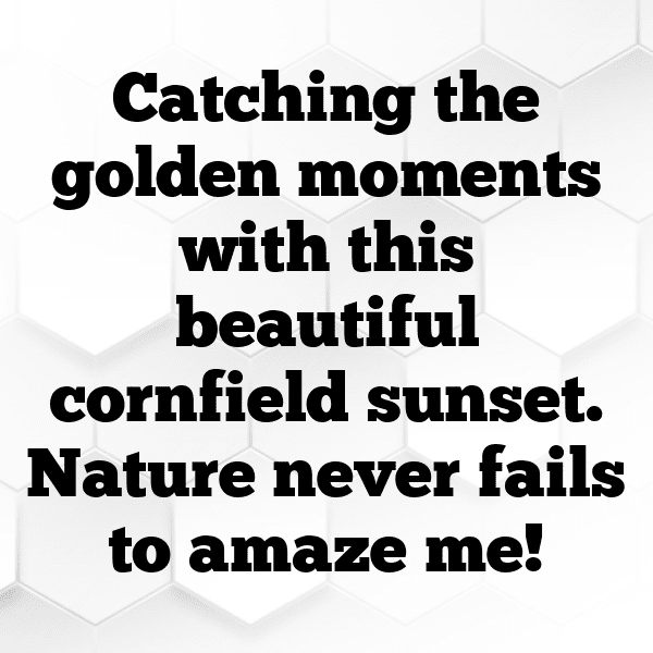 Sweet Corn Captions Image For Instagram-Te9TcT