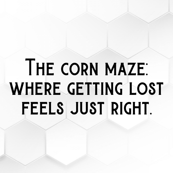 Sweet Corn Captions Photo For Instagram-CucFuU