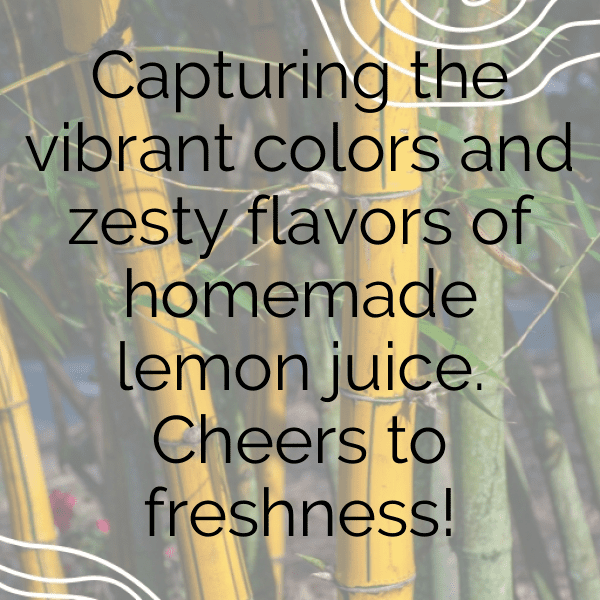 Sweet Lemon Captions Photo For Instagram-o4MT5J