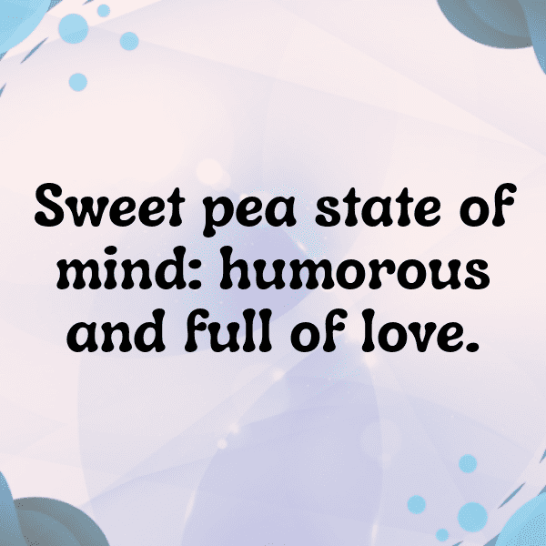 Sweet Pea Captions Image For Instagram-8I7esc