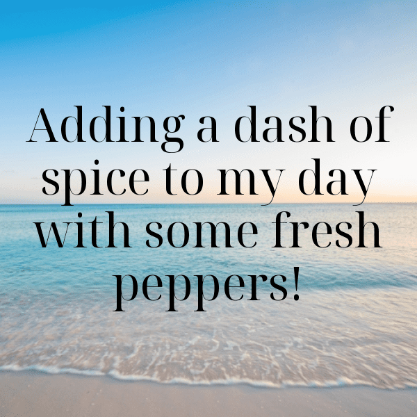 Sweet Pepper Captions Image For Instagram-km0fdb