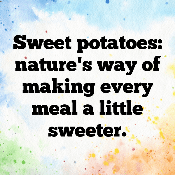 Sweet Potato Captions Image For Instagram-R0y63C