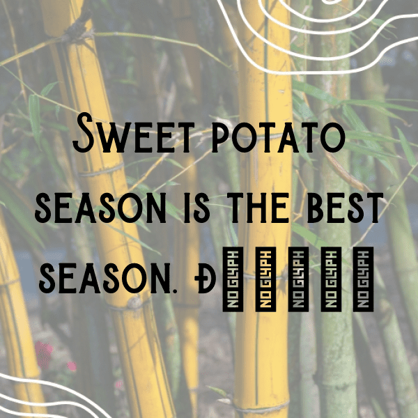 Sweet Potato Captions Photo For Instagram-iXJ72m